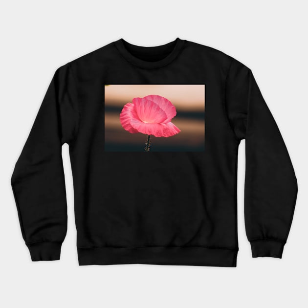 Poppy by light Crewneck Sweatshirt by SandiLin